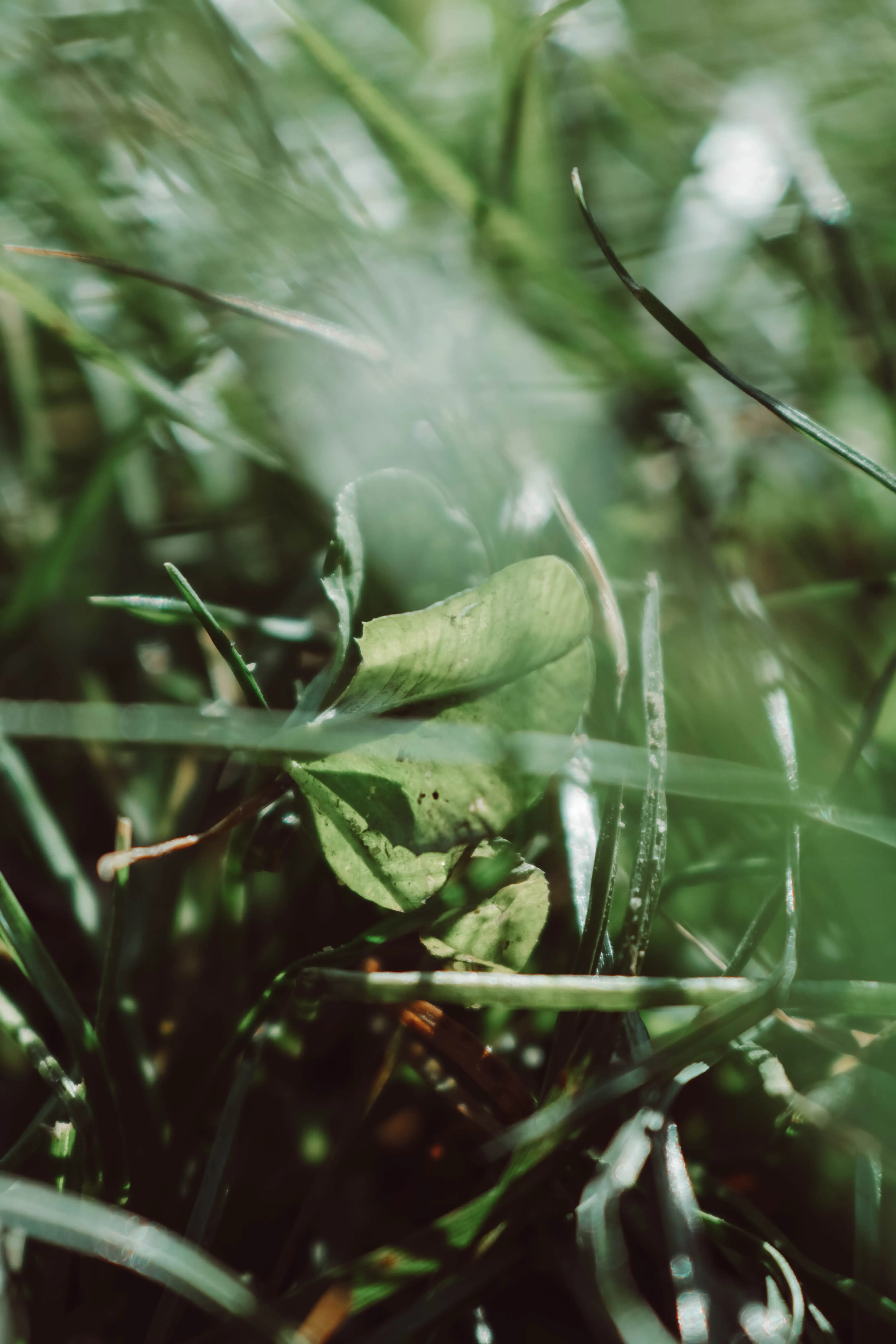 1691142654 Pexels Viktoria Emilia 9952636